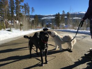 Chilly, Cola, and Soupy having a blast in Colorado