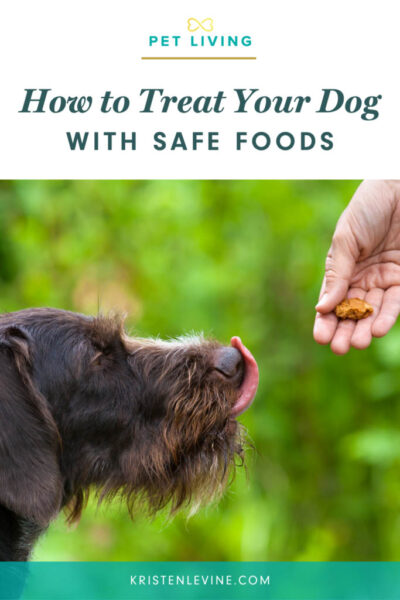 how to treat your dog with safe foods pin