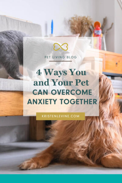 4 ways you and your pet can overcome anxiety together pin