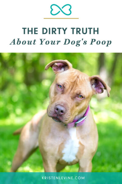 the dirty truth about your dog's poop pin