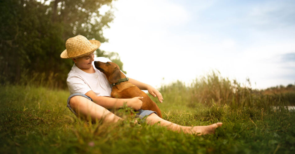 Pet Memorial Day: 10 Ways to Pay Tribute to Your Best Friend