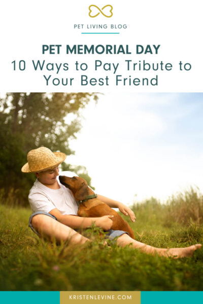 pet memorial day 10 ways to pay tribute to your best friends pin