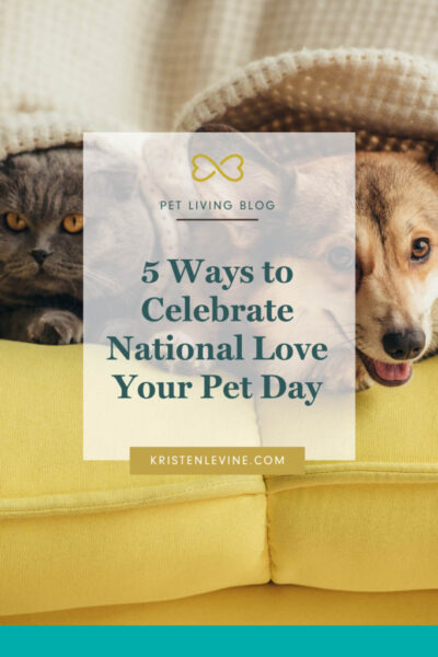 5 ways to celebrate national love your pet day pin