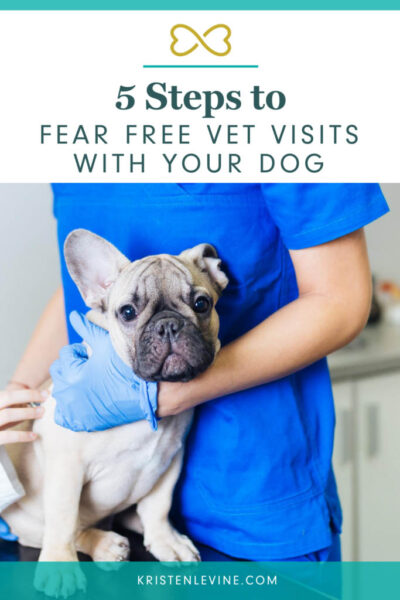 5 steps to fear free vet visits with your dog pin