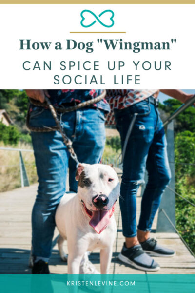 how a dog "wingman" can spice up your social life pin