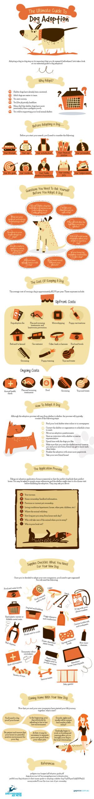 dog adoption infographic