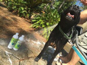 Help Pet Parents Find Your Products!
