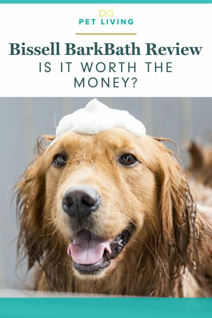 Read this before you buy a Bissell BarkBath