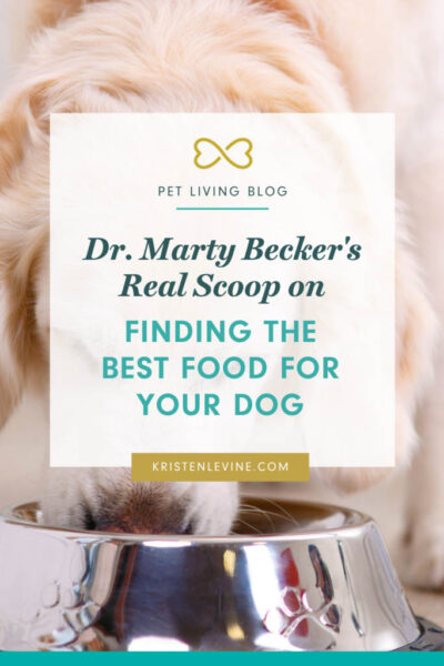 Dr. Marty Becker's real scoop on finding the best dog food for your dog pin