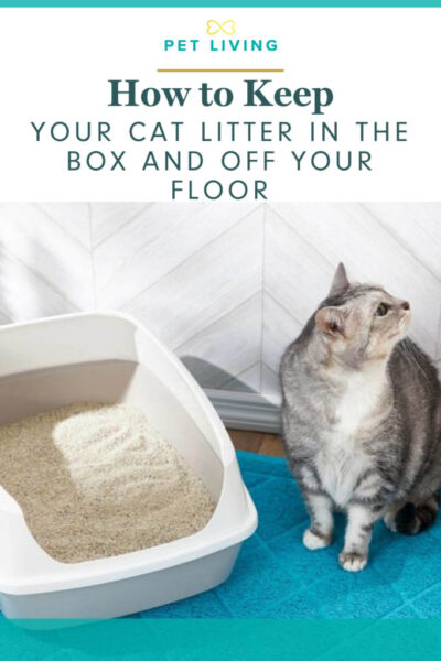 How to Keep Cat Litter Off the Floor Pet Living