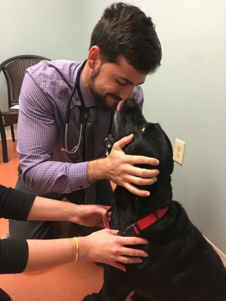 Chilly loves our vet, Dr. Garcia!