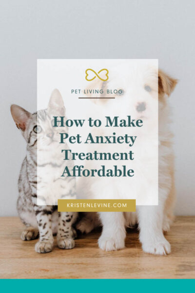 how to make pet anxiety treatment affordable pin