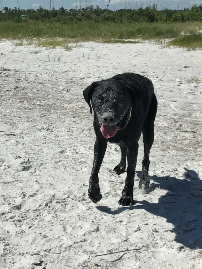 Beach day - Chilly in the sand