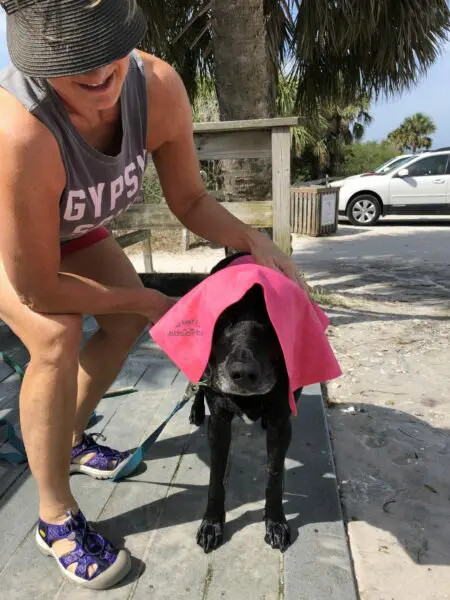 Towelling Chilly off to prevent swimmer's itch