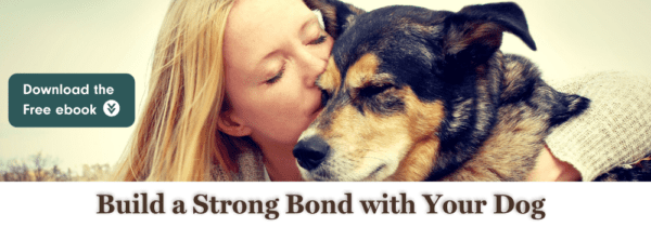 Bond with your dog