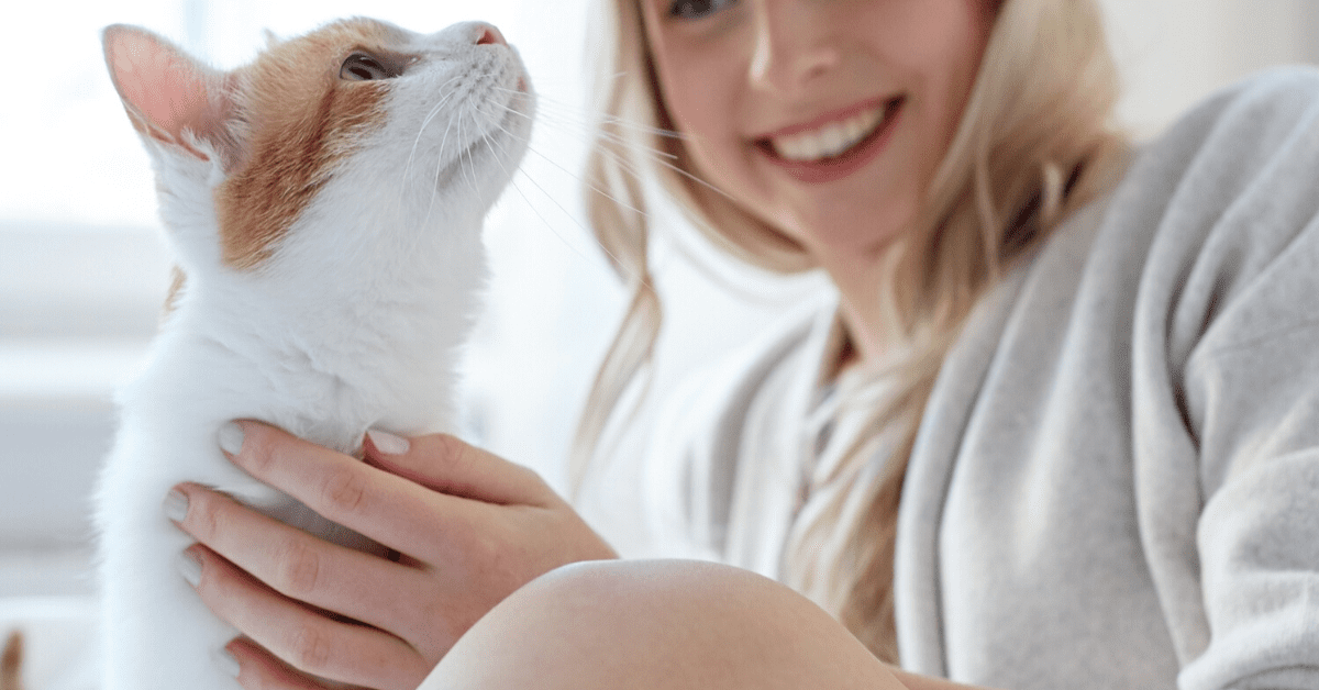 How To Help A Cat In A New Home Cat Lovster