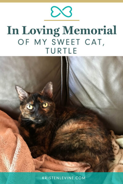 in loving memory of my sweet cat turtle pin