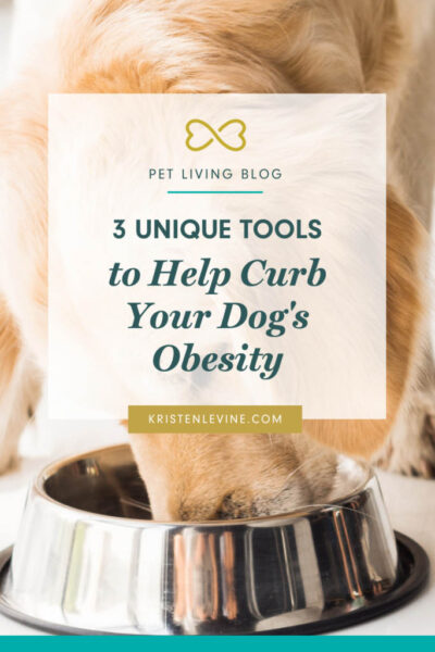 how to help curb your dog's obesity pin