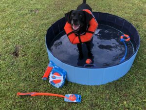 Chilly and his ChuckIt! toys, especially the new Ring Chaser!