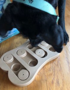 Your pup will love playing with this Bone Puzzle Toy by Spot