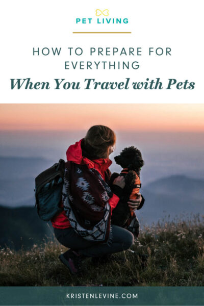 how to prepare travel with pets pin