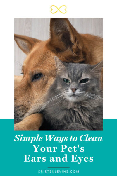 simple ways to clean your pet's ears and eyes pin