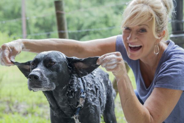 Chilly gets a bath with Vetericyn FoamCare