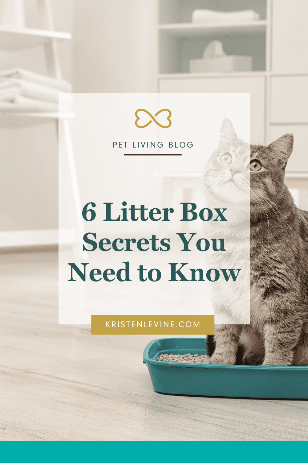 6 Litter Box Secrets You Need to Know Pin Kristen Levine Pet Living