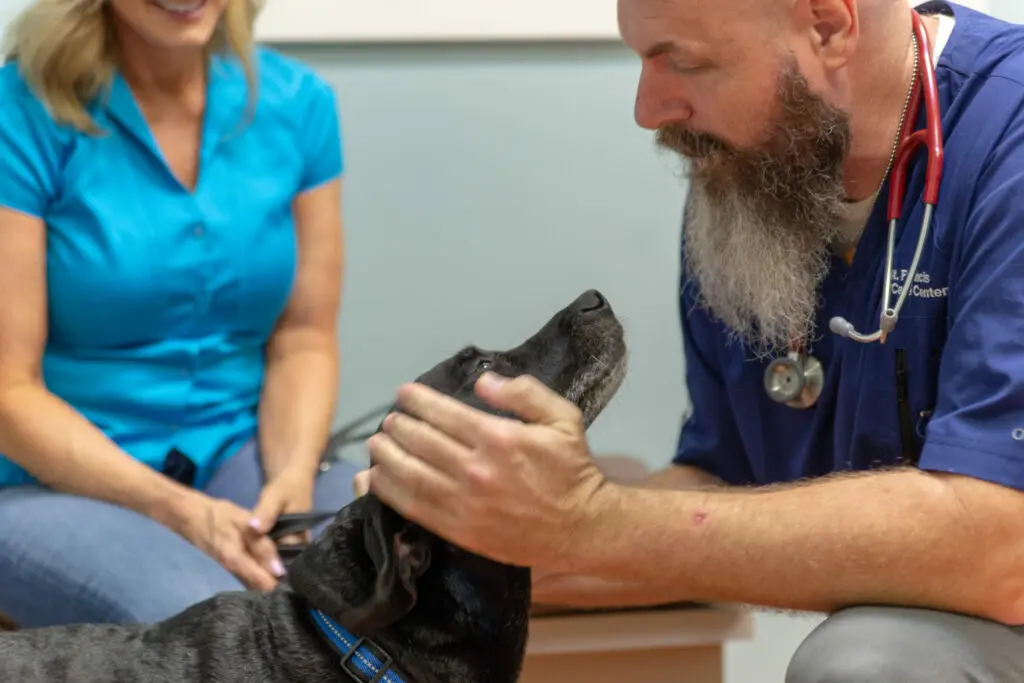 My dog, Chilly gets his teeth checked regularly.