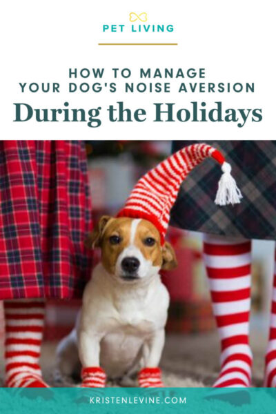 how to manage your dog's noise aversion during the holidays