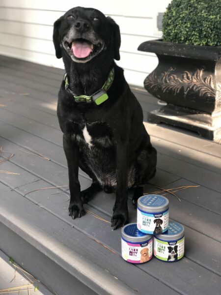 Chilly's favorite nutritional supplement for dogs is ALL-IN from Vetericyn. 