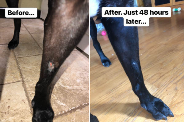 Chilly's hot spot before and after treatment.