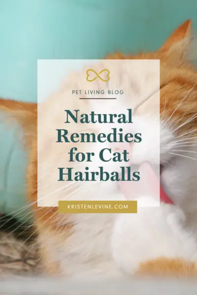 4 Natural Remedies For Cat Hairballs