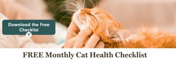 Check your cat's vital signs at home.