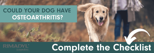 Complete the checklist to see if your dog has osteoarthritis.