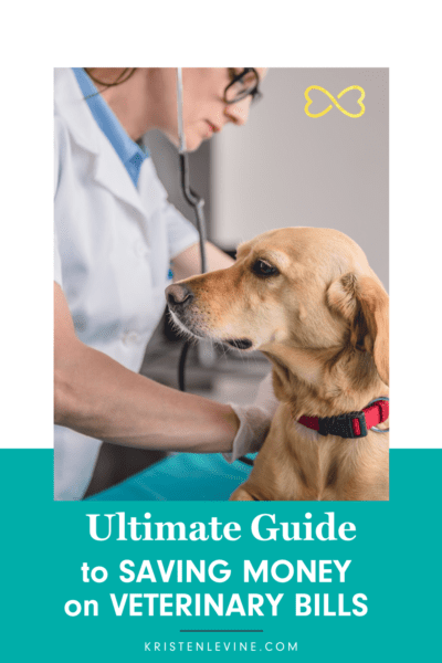 Here are some tips to saving money on vet bills.