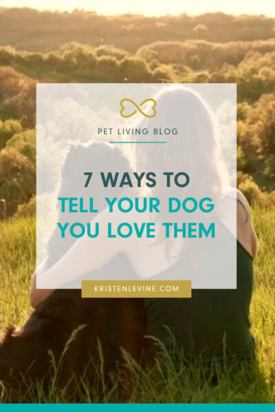 7 ways to tell your dog you love them