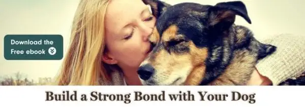 Bond with your dog. Download the free guide.