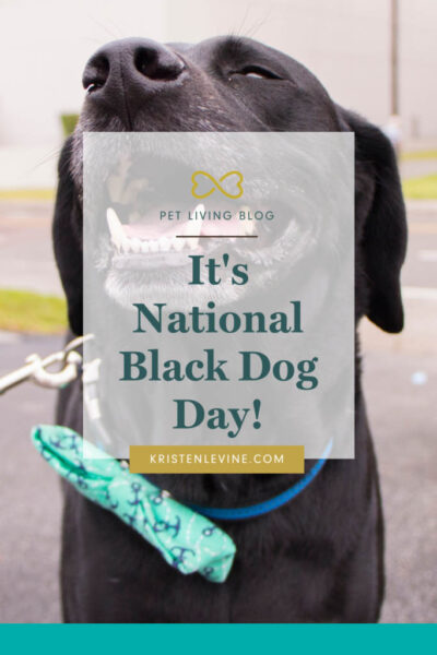 national black dog pin