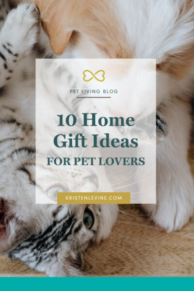 gift ideas for pet lovers pin