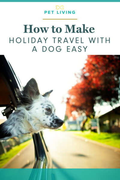 how to make travel with a dog easy pin