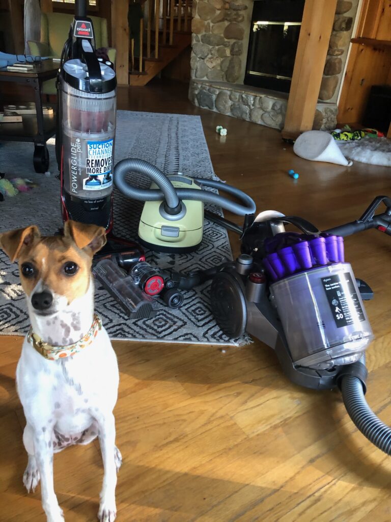 Tulip with my favorite vacuums for pet hair.