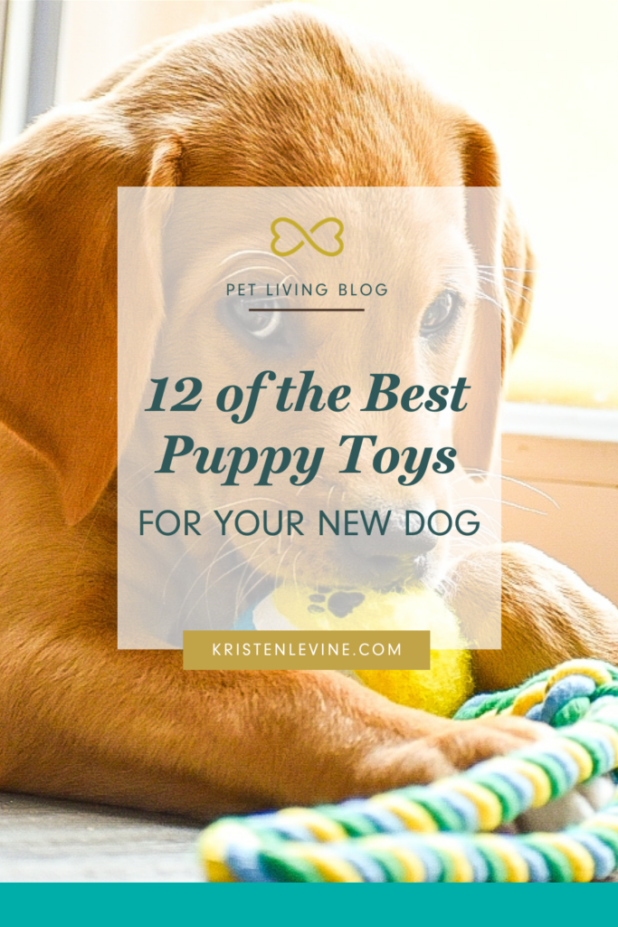 12 of The Best Puppy Toys for Your New Dog