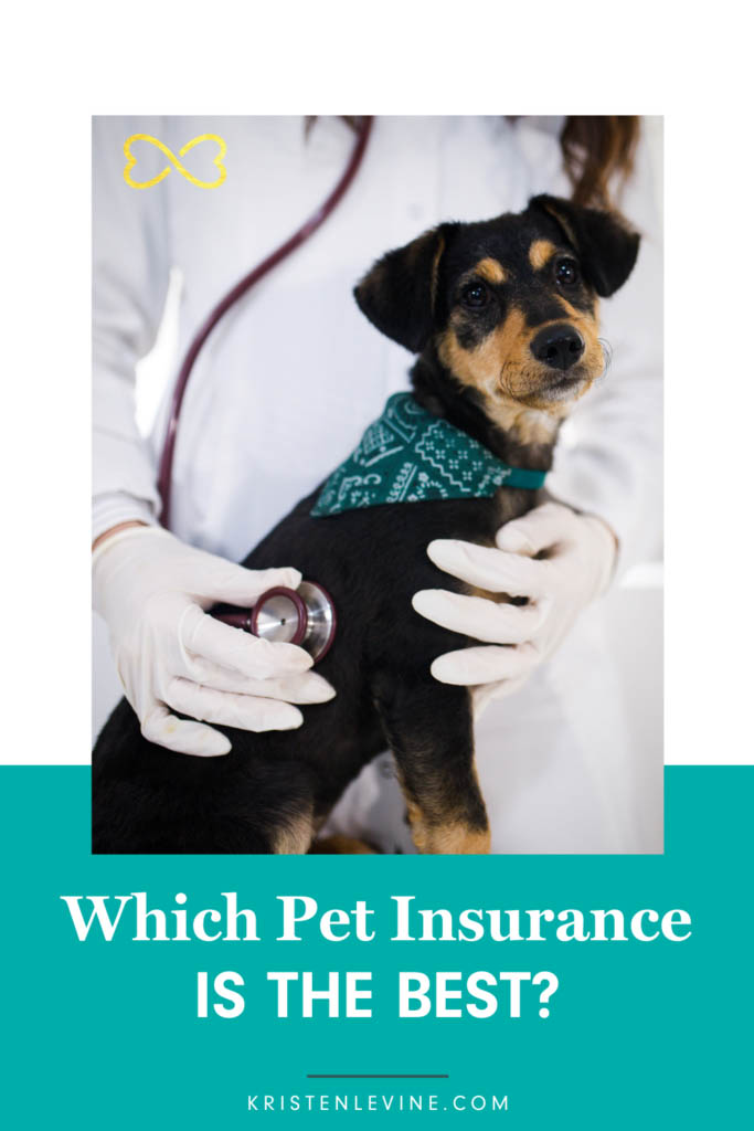 Which Pet Insurance Is The Best?