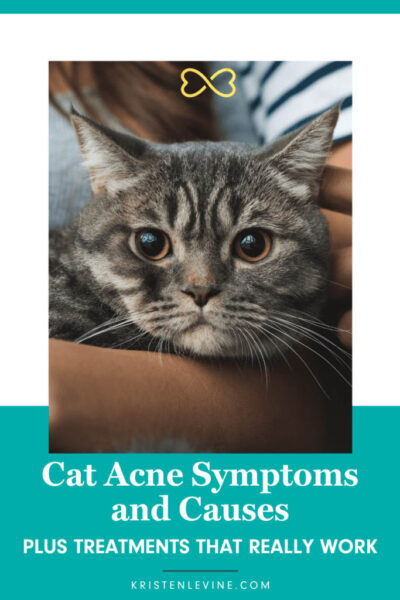 Treating cat on sale acne at home