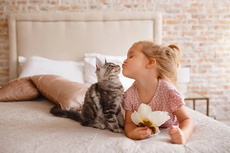 cat on bed with child pet advice