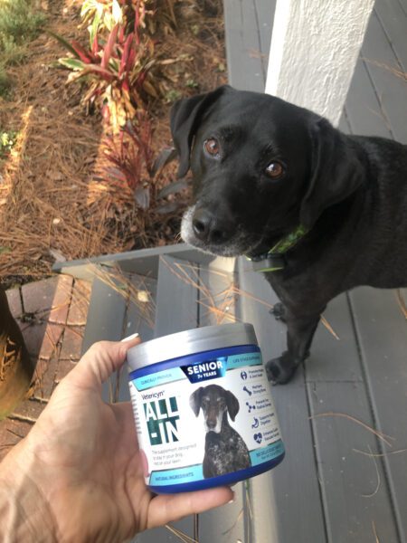 Chilly takes a digestive supplement called ALL-IN