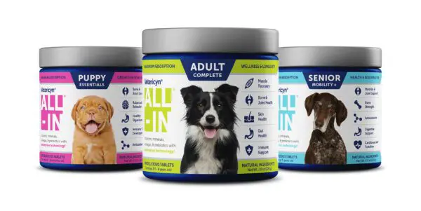 A digestive supplement like ALL-IN may help with your dog's anxiety