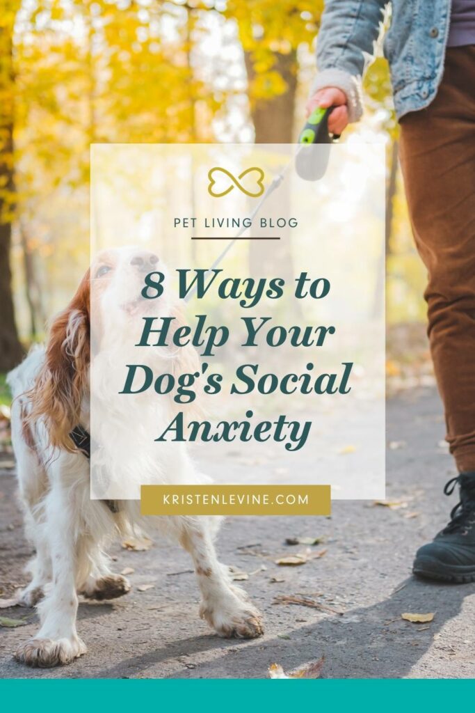 how to help a dog with social anxiety