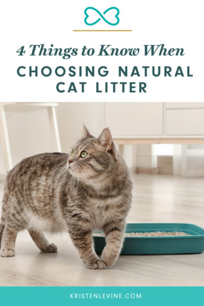 how to choose a natural cat litter pin